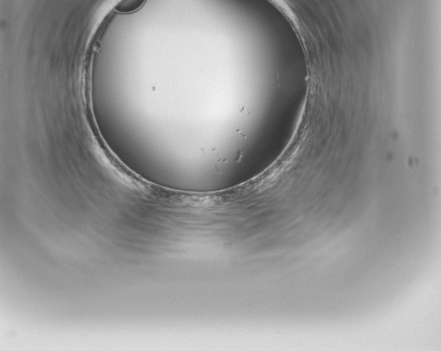 X0000060241003200511111924