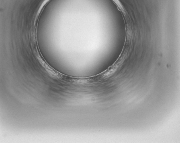 X0000060241004200511111924