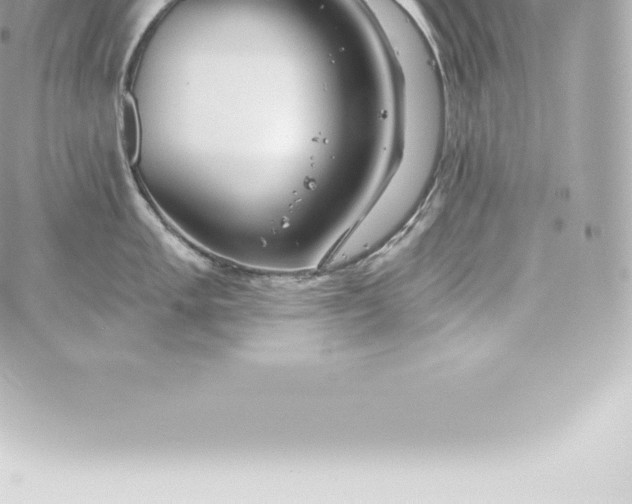 X0000060241005200511111924