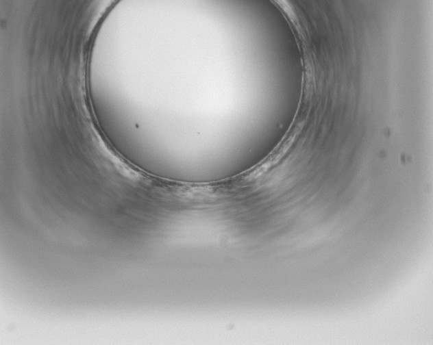 X0000060241006200511111924