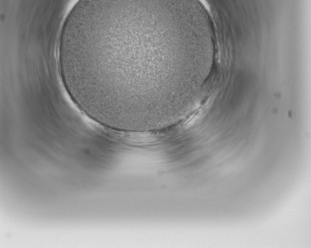 X0000060241007200511111924