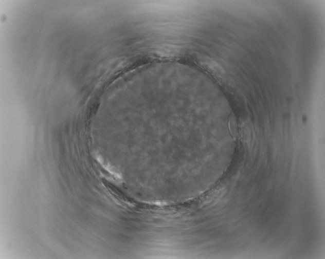 X0000060241009200511111924