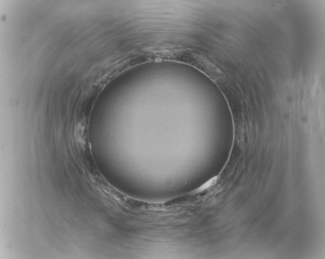 X0000060241010200511111924