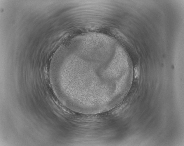 X0000060241011200511111924