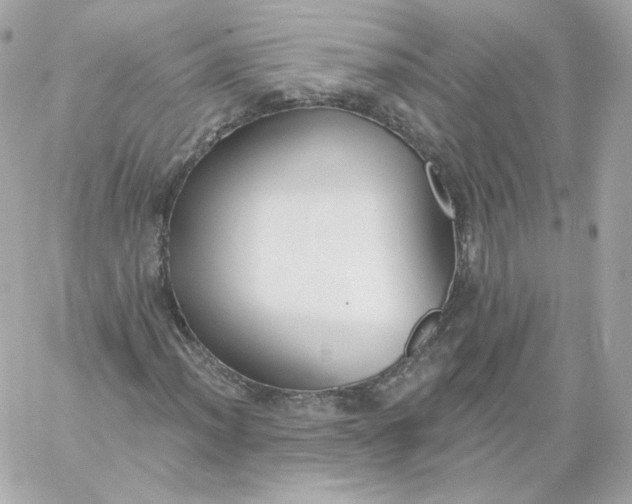 X0000060241012200511111924