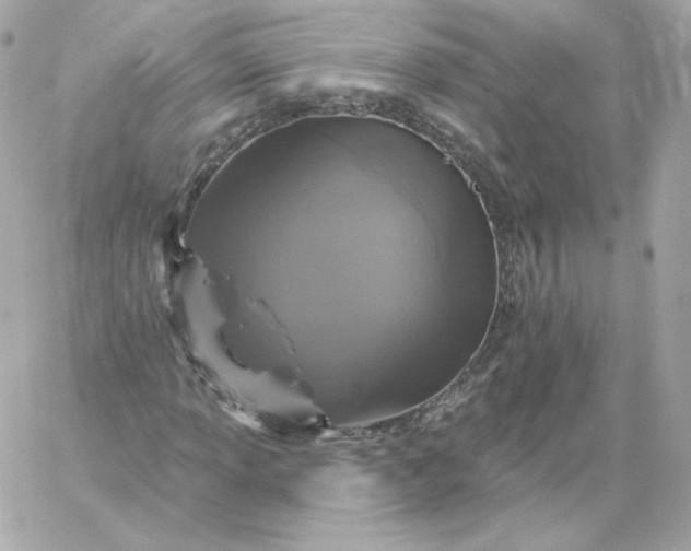 X0000060241013200511111924