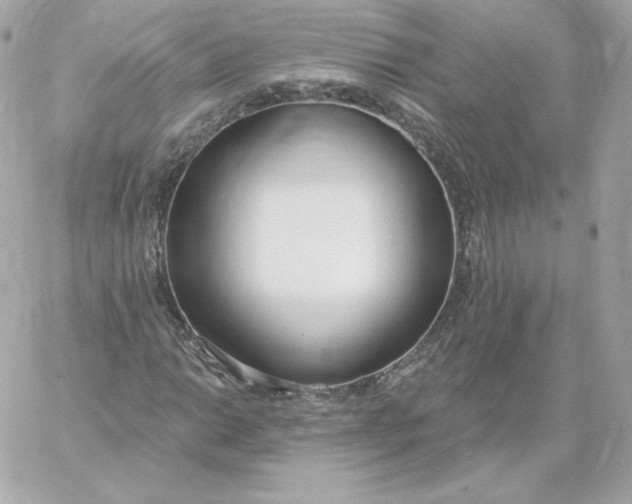 X0000060241014200511111924