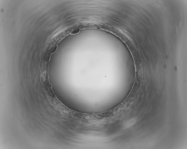 X0000060241015200511111924