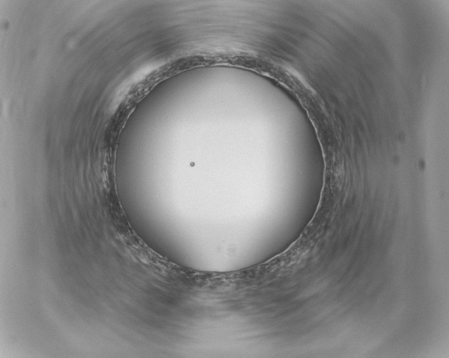 X0000060241016200511111924