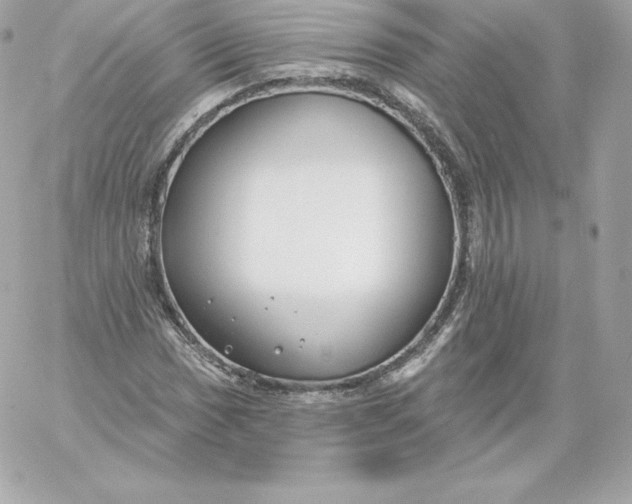 X0000060241017200511111924