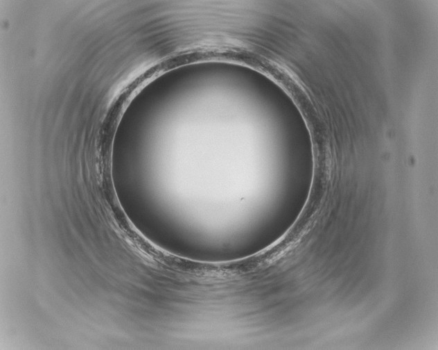 X0000060241018200511111924