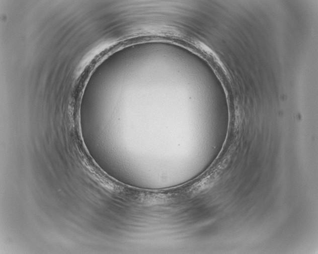 X0000060241019200511111924