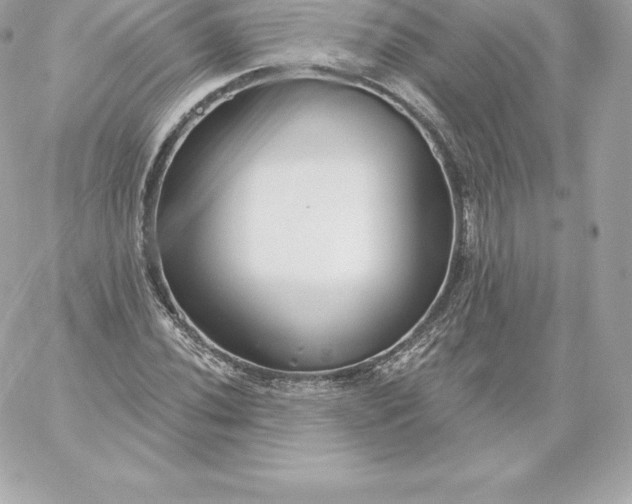 X0000060241020200511111924