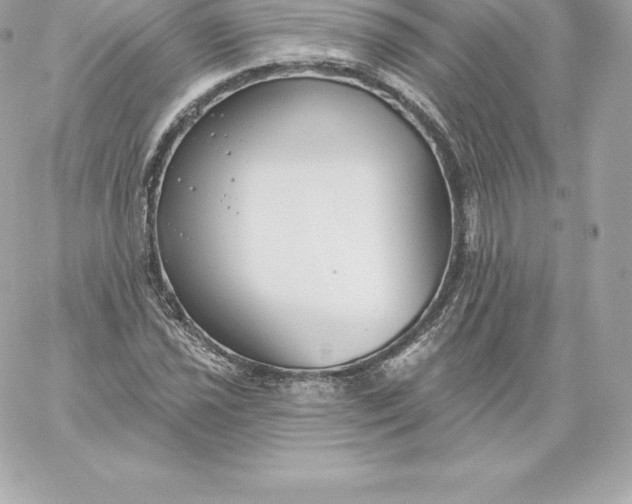 X0000060241021200511111924