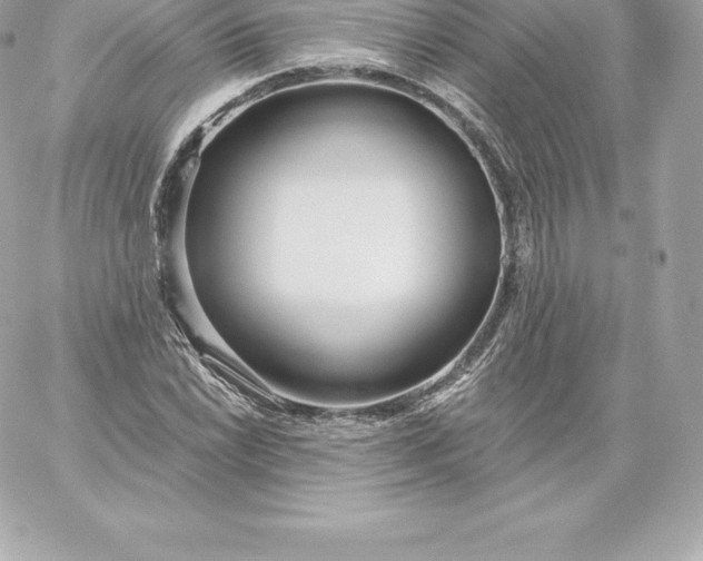 X0000060241022200511111924