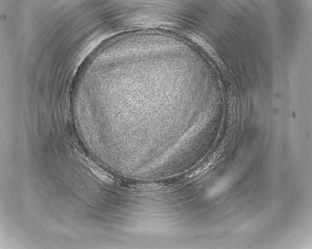 X0000060241023200511111924