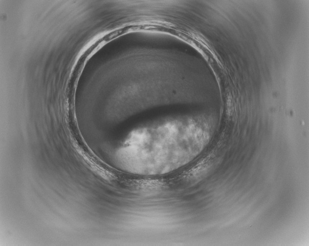 X0000060241024200511111924