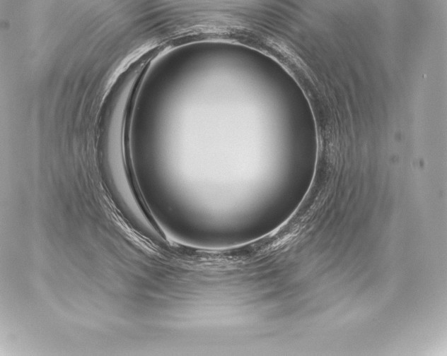 X0000060241026200511111924