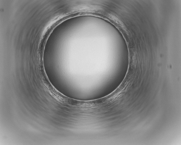 X0000060241027200511111924