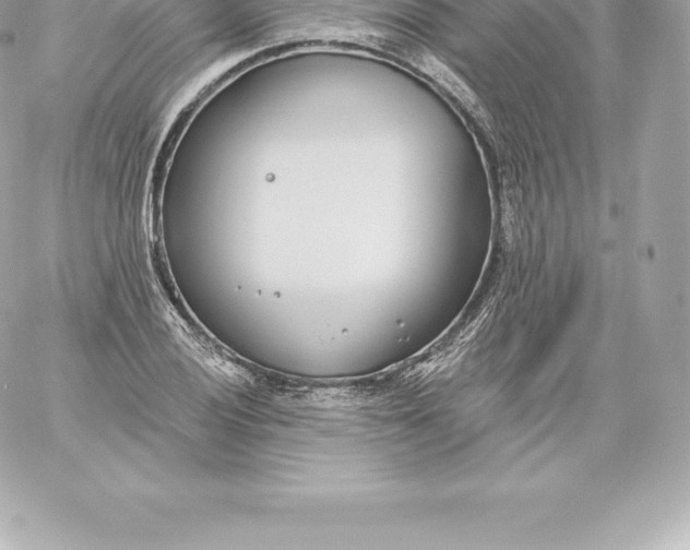 X0000060241028200511111924