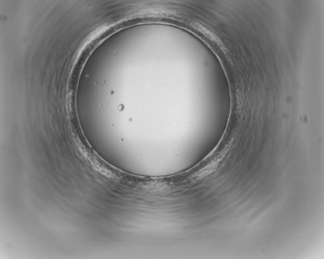 X0000060241029200511111924