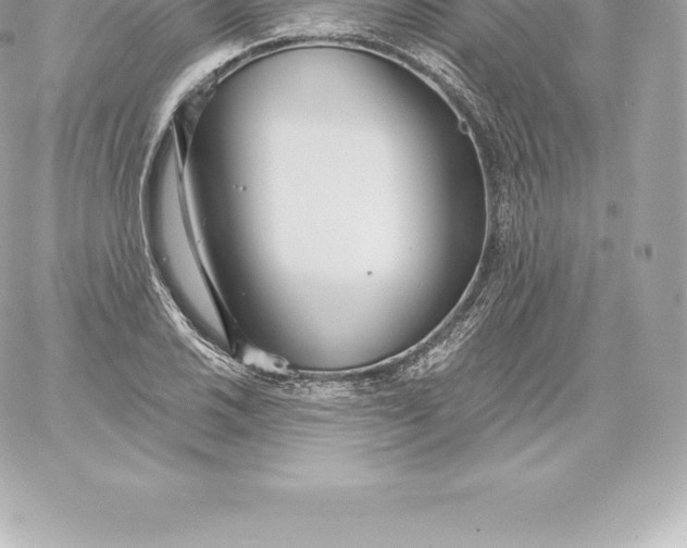 X0000060241030200511111924