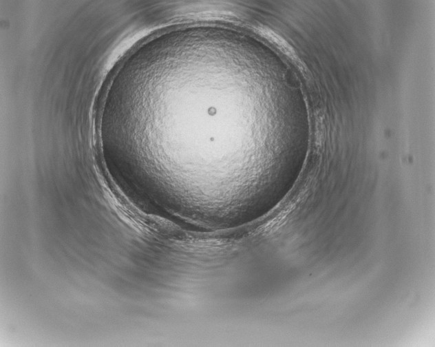 X0000060241031200511111924