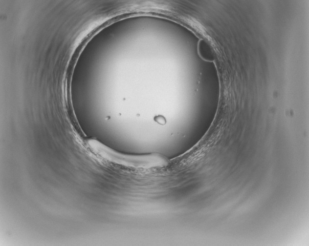 X0000060241032200511111924