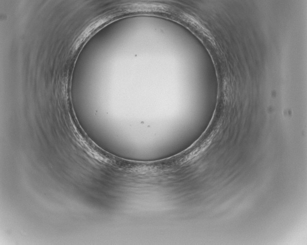 X0000060241033200511111924