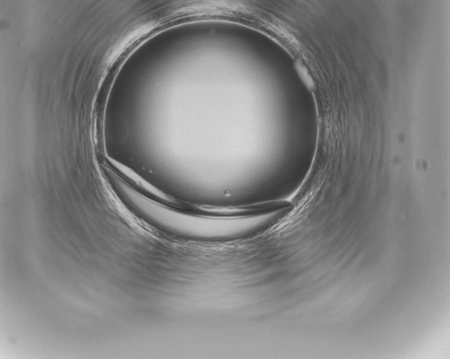 X0000060241034200511111924