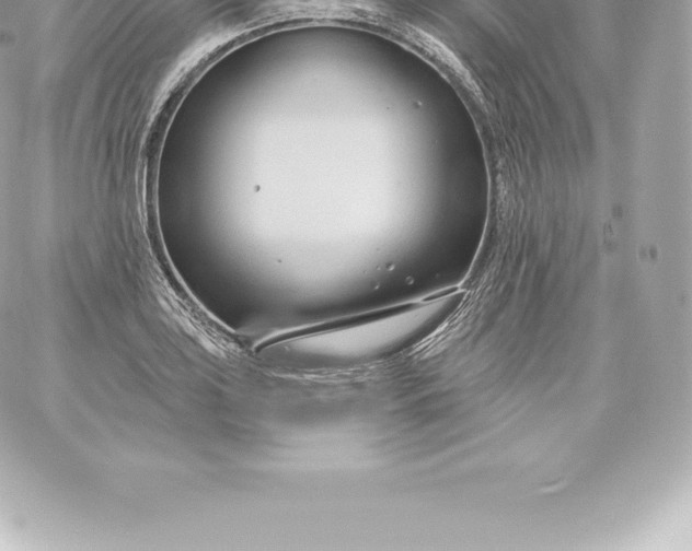 X0000060241035200511111924