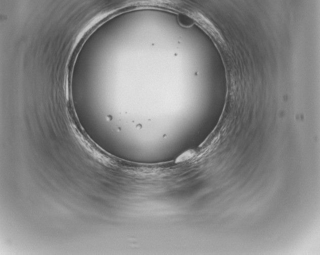 X0000060241036200511111924