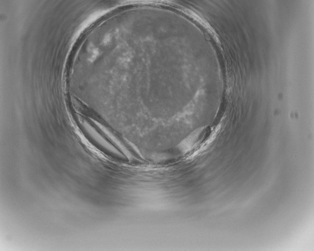 X0000060241037200511111924