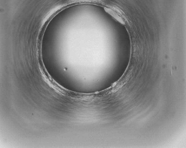 X0000060241038200511111924