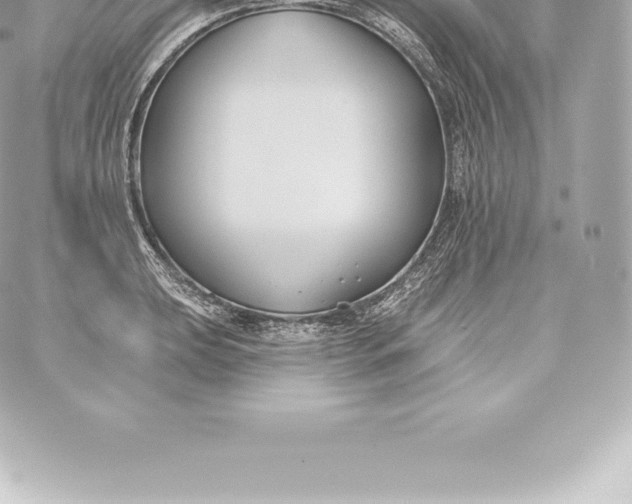 X0000060241039200511111924