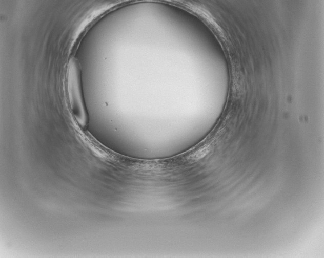 X0000060241040200511111924