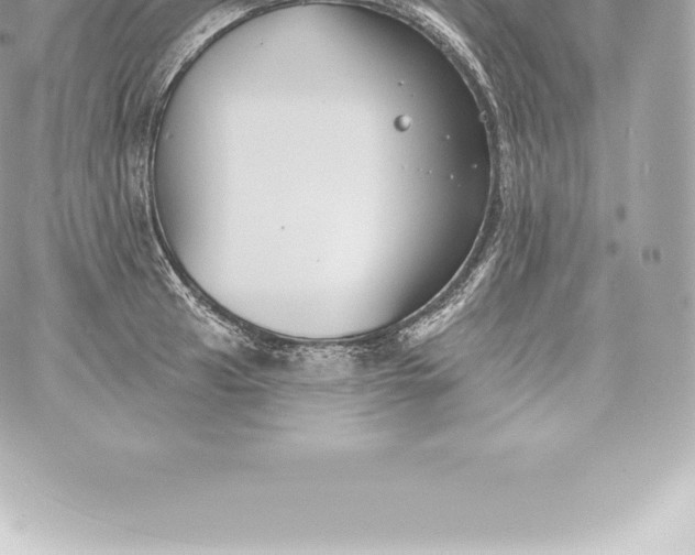 X0000060241041200511111924