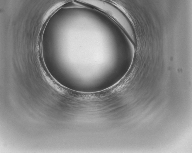 X0000060241042200511111924