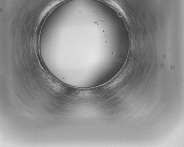 X0000060241043200511111924