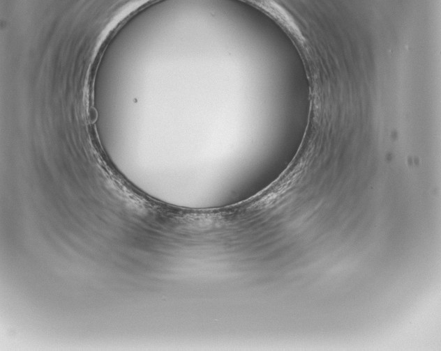 X0000060241044200511111924