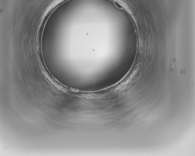 X0000060241045200511111924