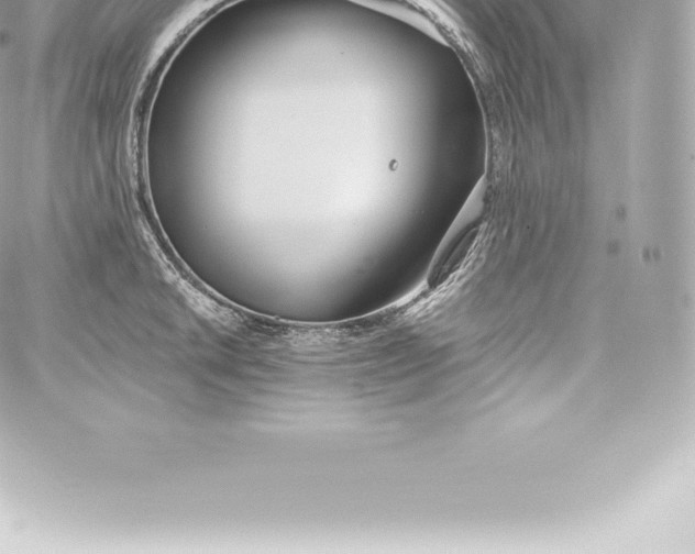 X0000060241046200511111924