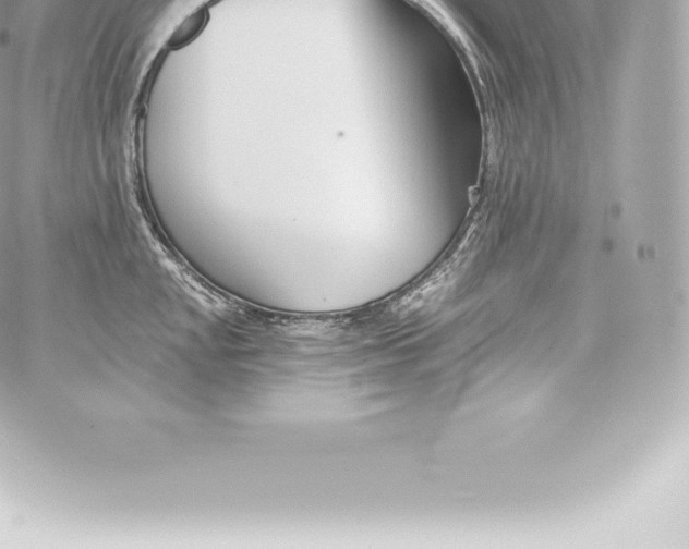 X0000060241048200511111924