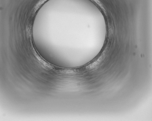 X0000060241049200511111924