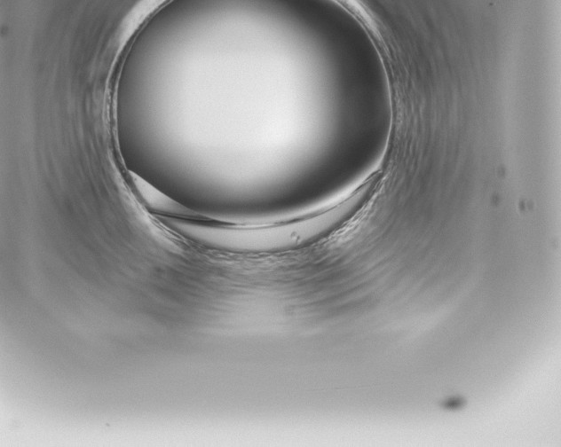 X0000060241050200511111924