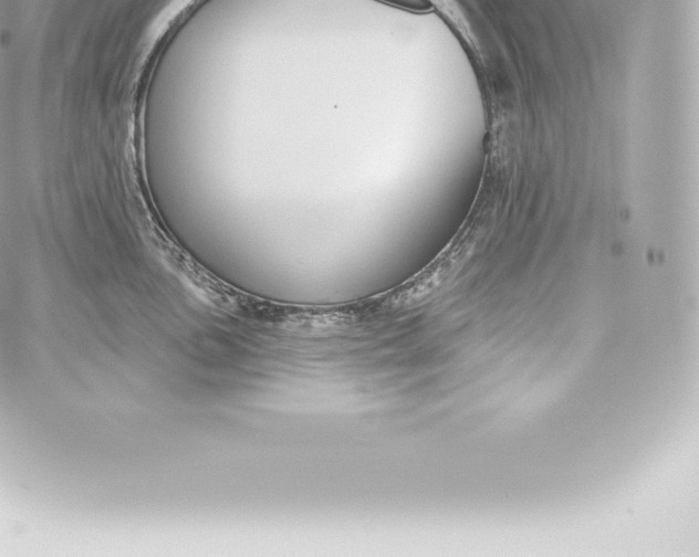 X0000060241051200511111924