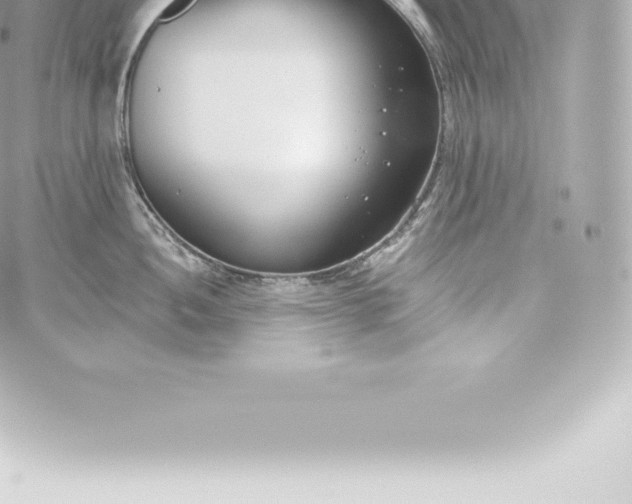 X0000060241052200511111924