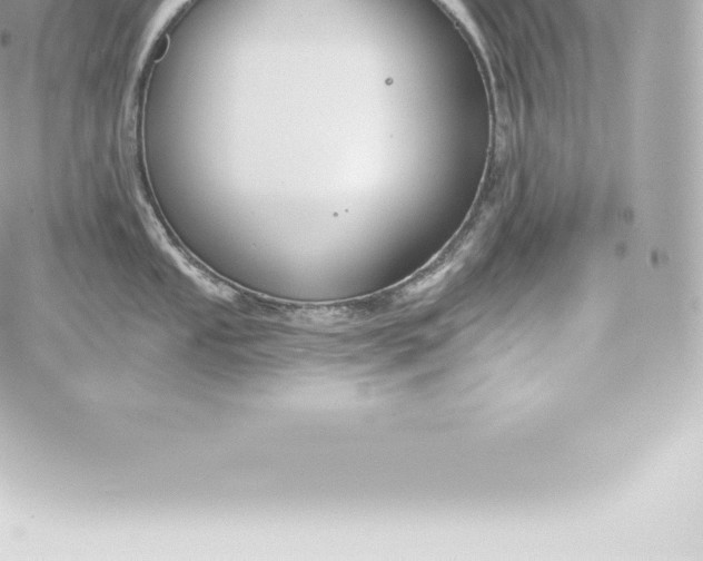 X0000060241053200511111924