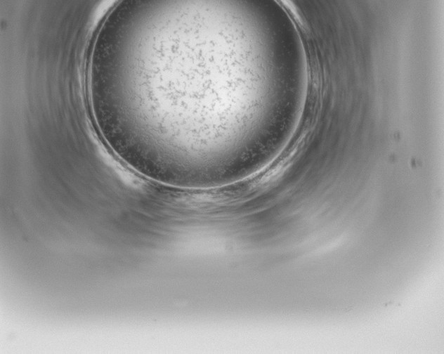 X0000060241054200511111924