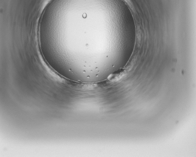 X0000060241055200511111924